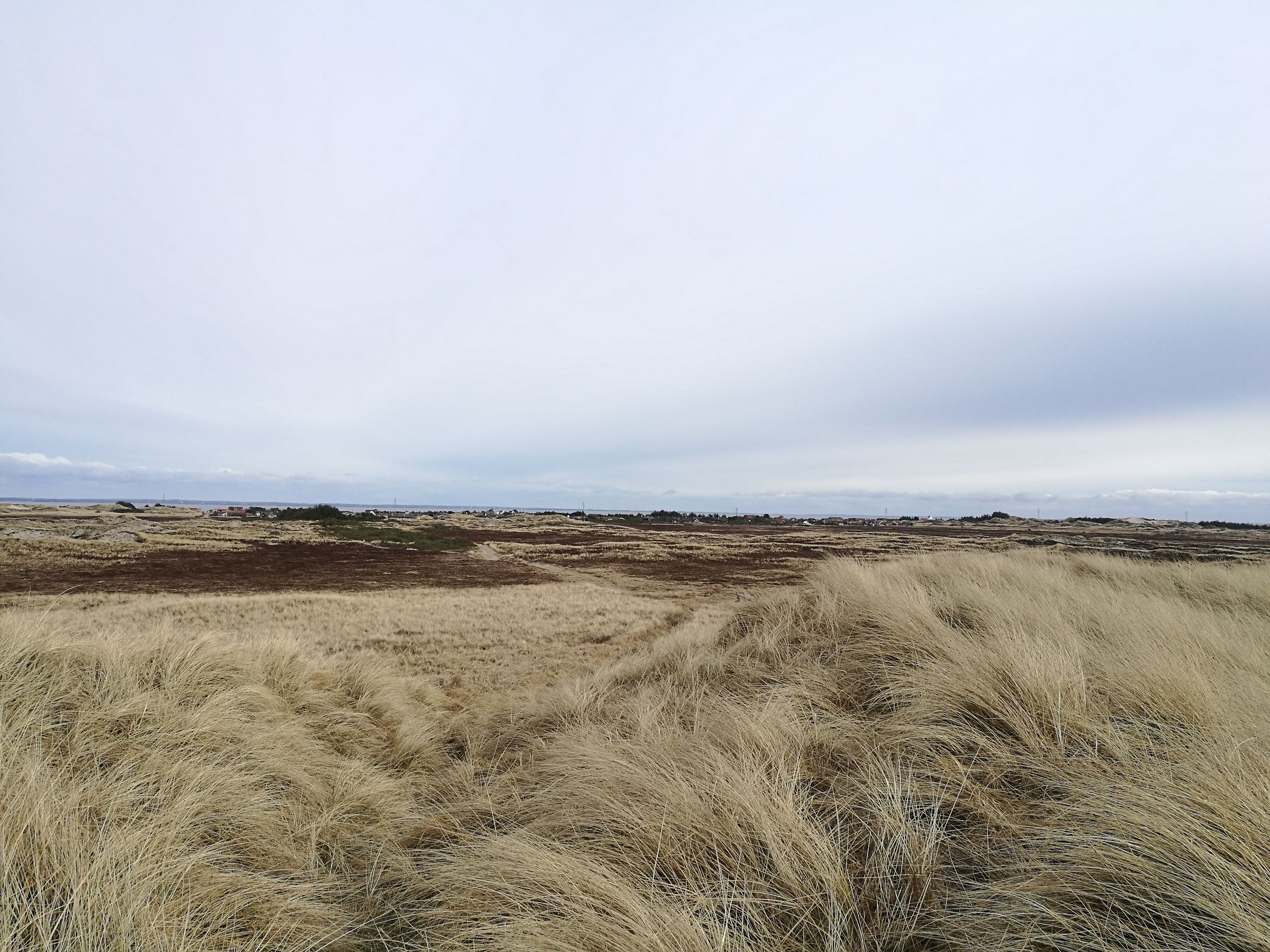 On a dune, with a view of a wide landscape. A few houses can be seen in the distance.