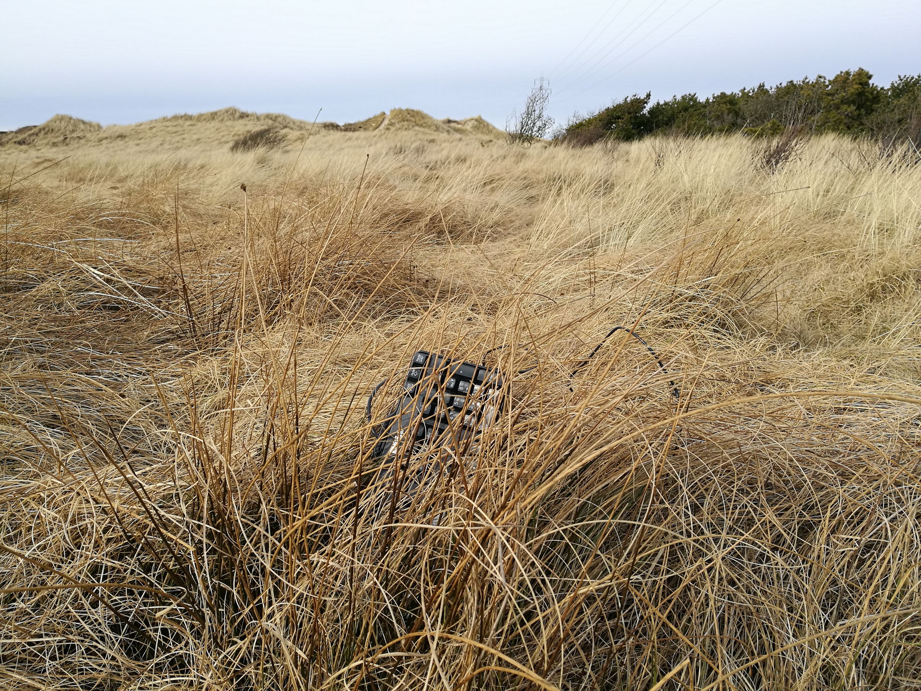 Eine Tastatur, die teilweise von tiefem trockenen Gras verdeckt wird. Im Hintergrund sind Dünen zu sehen.