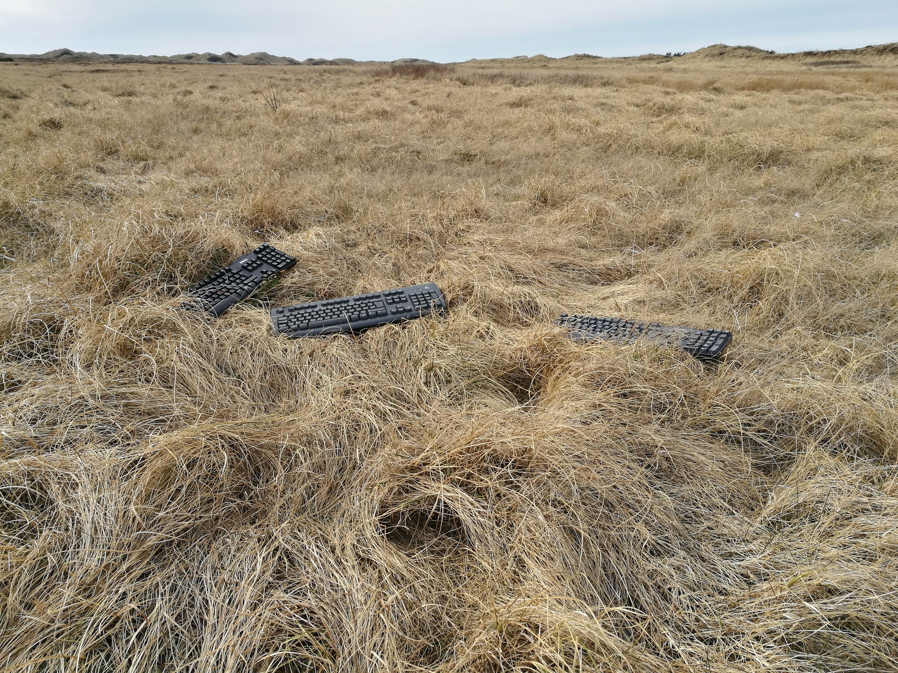 Three keyboards lying in dry grass. In the background are dunes.